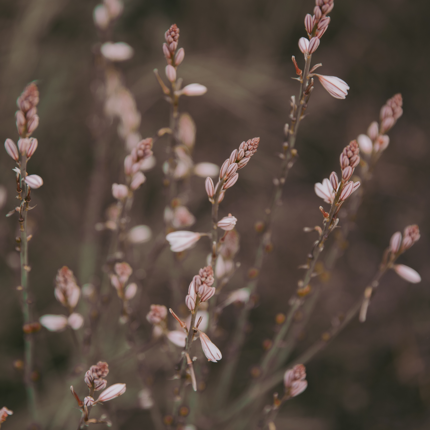 Surviving Mercury Retrograde: How to Dodge Drama and Keep Your Cool