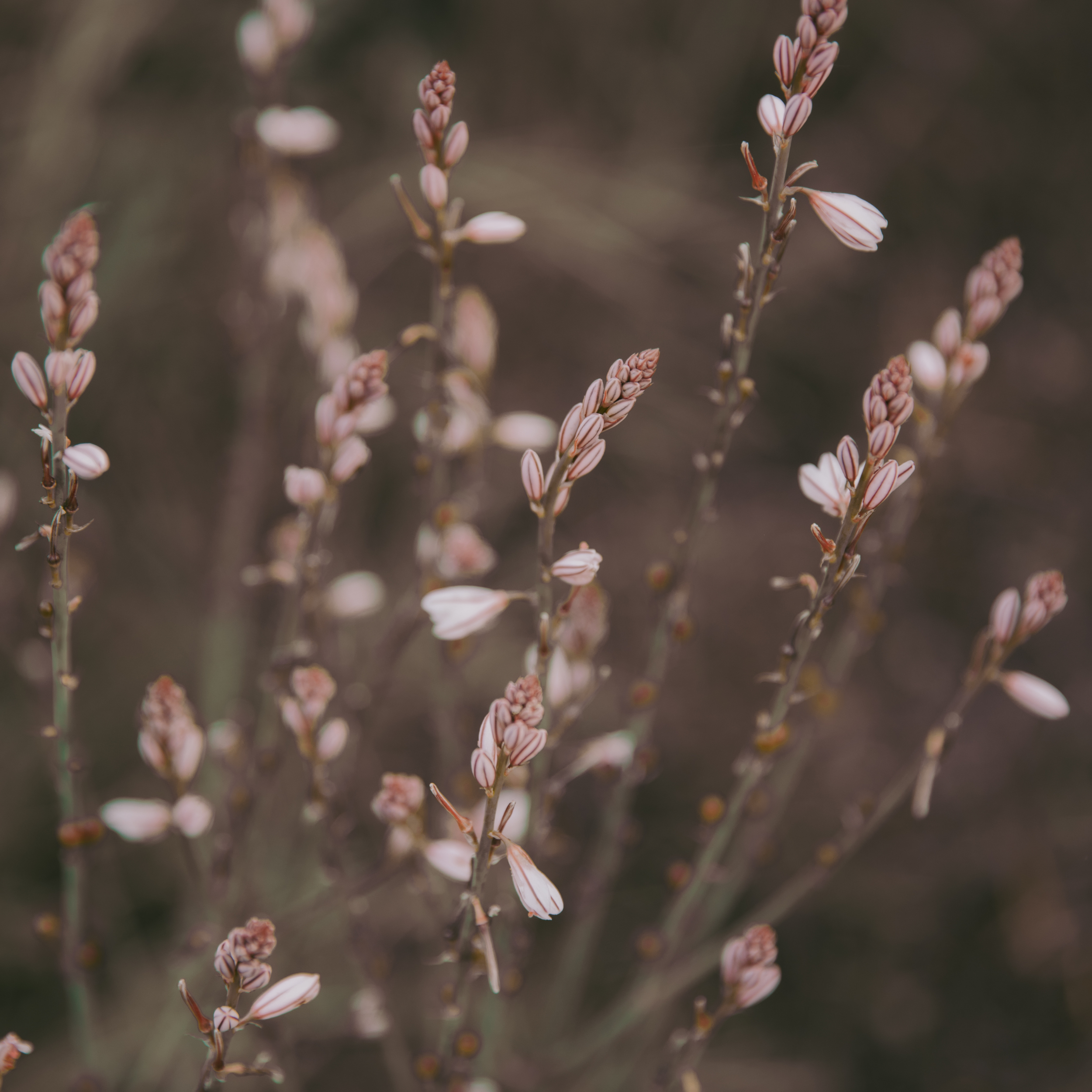 Surviving Mercury Retrograde: How to Dodge Drama and Keep Your Cool