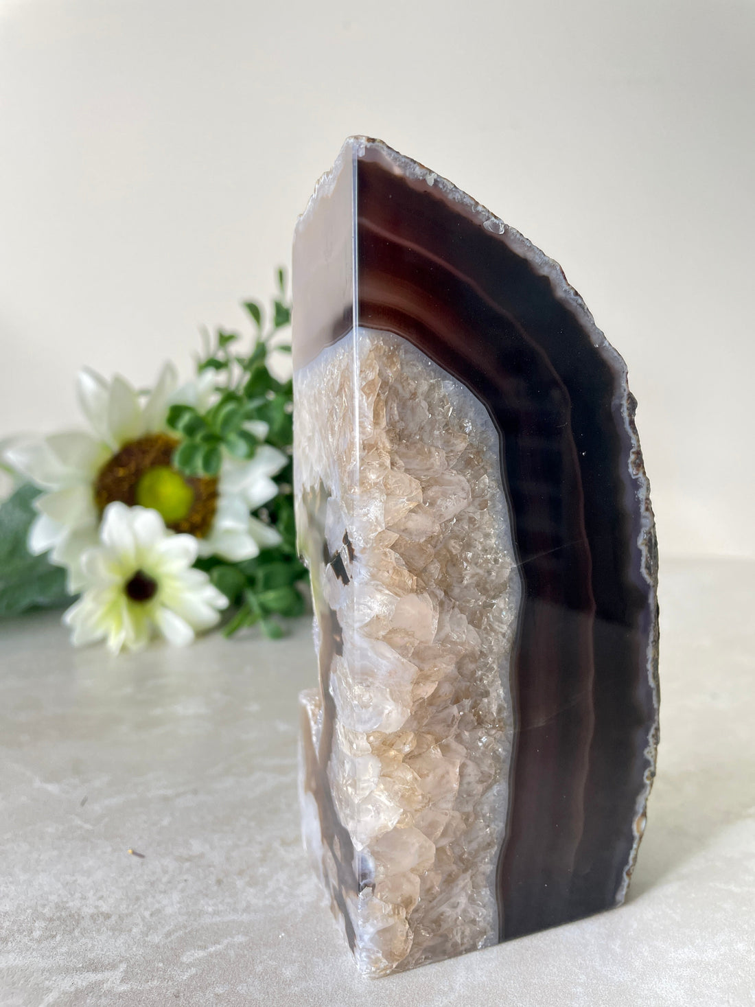 Chocolate Druzy Agate Freeform